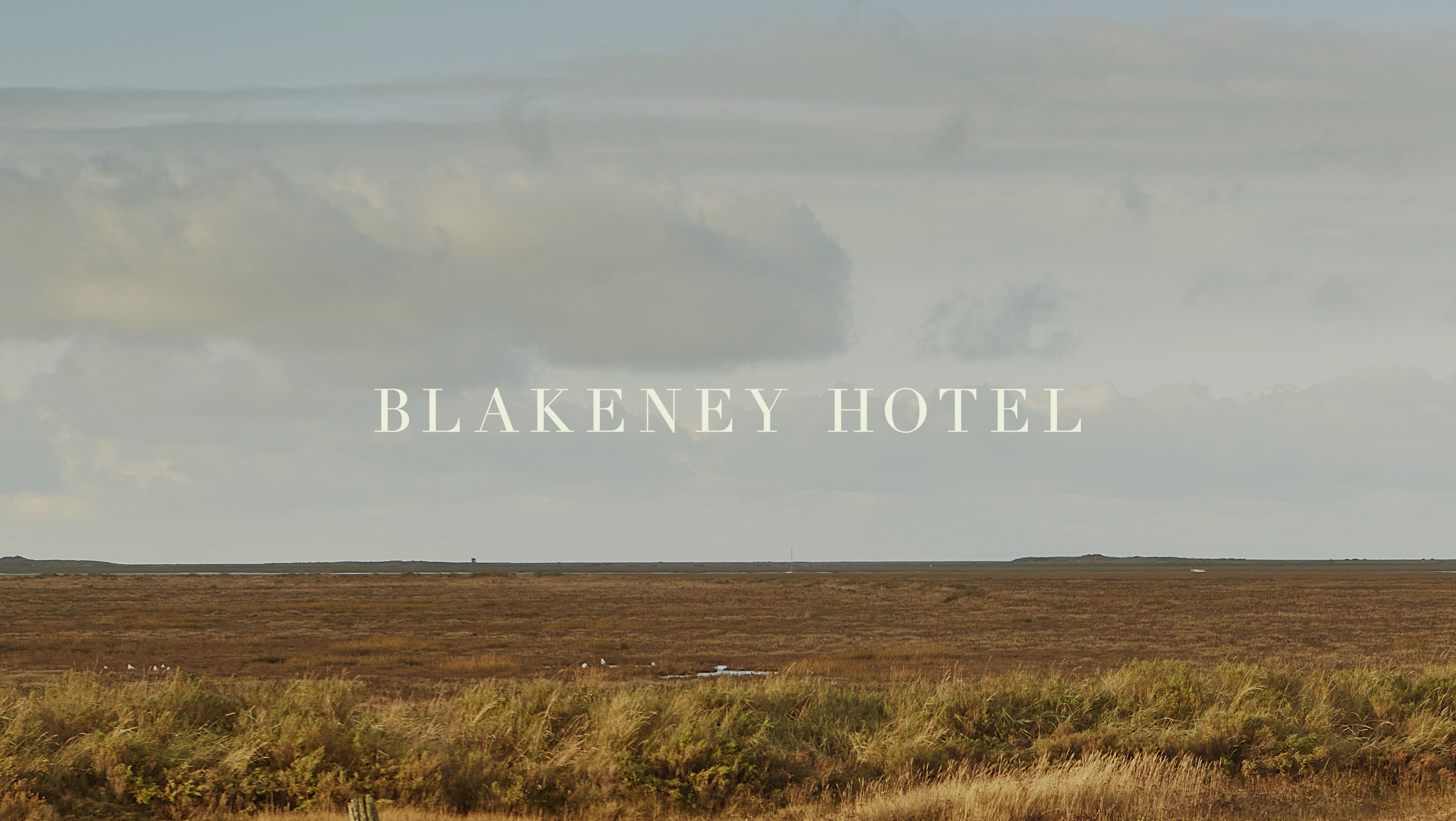 Studio Bowden Design & Art Direction for Music, Blockchain, Tech, Lifestyle