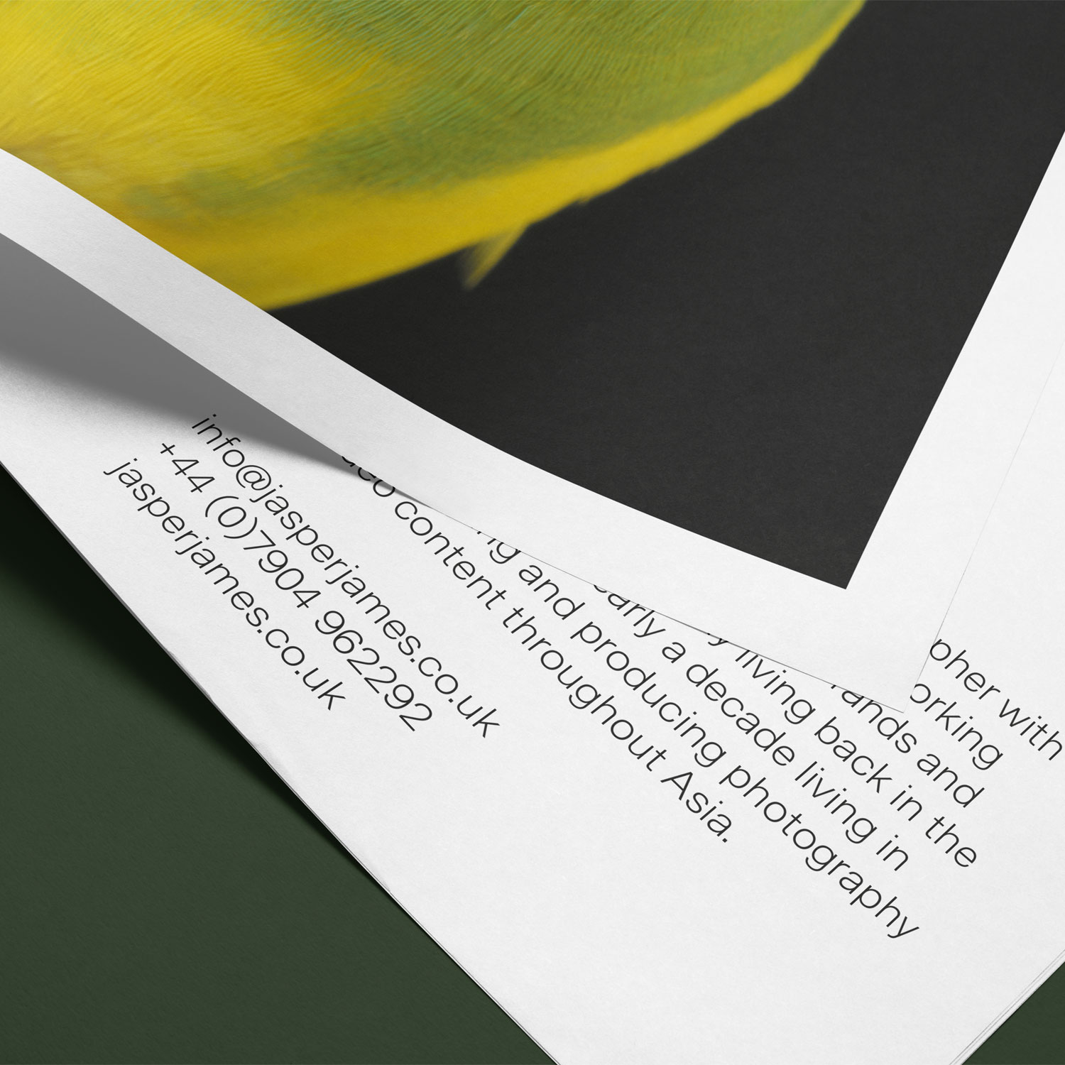 Studio Bowden Design & Art Direction for Music, Blockchain, Tech, Lifestyle